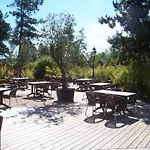 Near Sea In Quend-plage-les-pins 퀜드