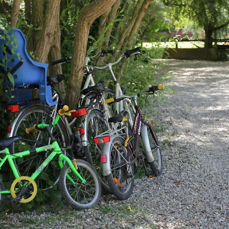 Appartement Near Sea In Quend-plage-les-pins Quend