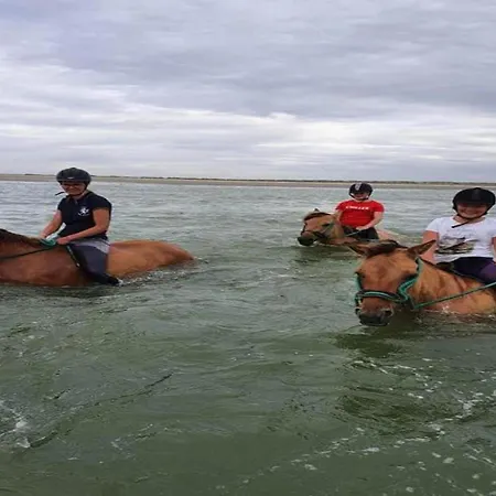 Near Sea In Quend-plage-les-pins Quend