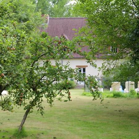 Near Sea In Quend-plage-les-pins * Quend