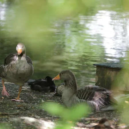 Appartement Near Sea In Quend-plage-les-pins *